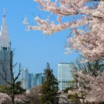 Shinjuku Gyoen National Garden-1