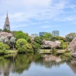 Shinjuku Gyoen National Garden-2